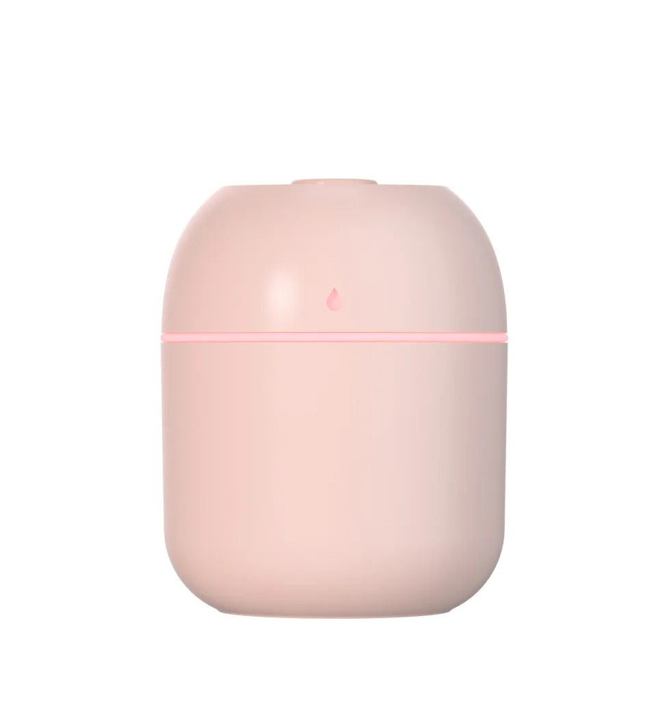 USB Mist Facial Steamer & Humidifier